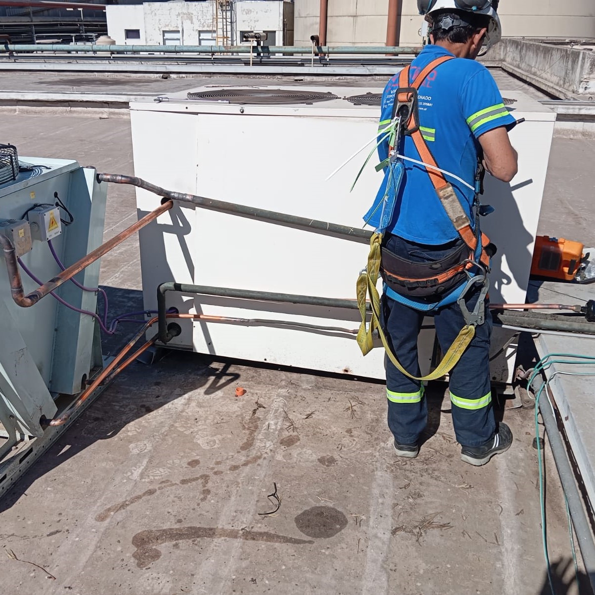 Trabajo 37